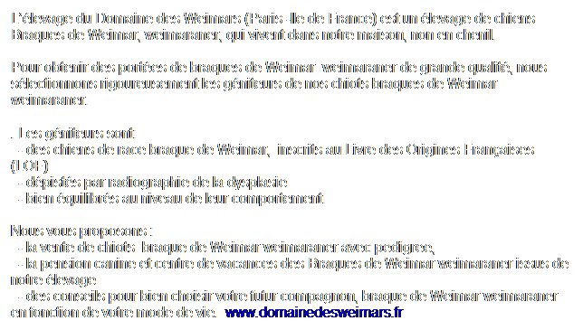 Text Box: Llevage du Domaine des Weimars (Paris -Ile de France) est un levage de chiens Braques de Weimar, weimaraner, qui vivent dans notre maison, non en chenil. 

Pour obtenir des portes de braques de Weimar  weimaraner de grande qualit, nous slectionnons rigoureusement les gniteurs de nos chiots braques de Weimar weimaraner.
. Les gniteurs sont:
  - des chiens de race braque de Weimar,  inscrits au Livre des Origines Franaises (LOF)  
  - dpists par radiographie de la dysplasie
  - bien quilibrs au niveau de leur comportement.

Nous vous proposons : 
  - la vente de chiots  braque de Weimar weimaraner avec pedigree,  
  - la pension canine et centre de vacances des Braques de Weimar weimaraner issus de notre levage
  - des conseils pour bien choisir votre futur compagnon, braque de Weimar weimaraner en fonction de votre mode de vie.  www.domainedesweimars.fr
